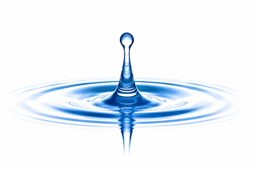 Purified Water